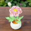 PinkLadyWorkshop - Crochet Peony Flower Pot | Pink | White