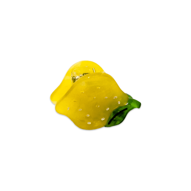 Jenny Lemons - Micro Fruit and Flowers Hair Claw Clip Set