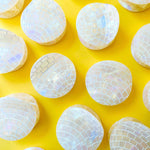 Jenny Lemons - Midi Disco Ball Hair Claw Clip