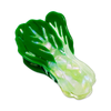 Jenny Lemons - Large Bok Choy Hair Claw Clip