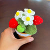 PinkLadyWorkshop - Crochet Small Strawberry Pot | Handmade Finished : Small