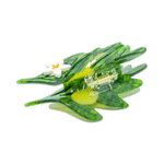 Jenny Lemons - Large Olive Branch Hair Claw Clip