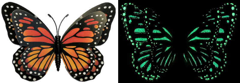 Flutter Gallery - Butterfly Magnet GLOW Bundle of 100!