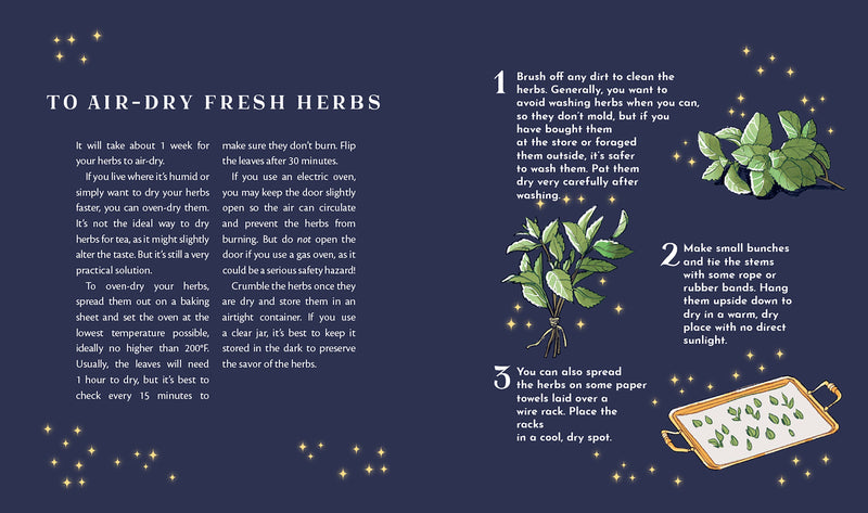 Hachette Book Group - Tea Magic: Cozy Spells in a Cup