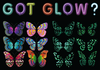 Flutter Gallery - GLOW Butterfly Clip Bundle of 100