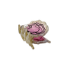 Jenny Lemons - Mini Oyster Hair Claw Clip
