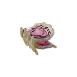 Jenny Lemons - Mini Oyster Hair Claw Clip