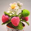 PinkLadyWorkshop - Crochet Small Strawberry Pot | Handmade Finished : Small
