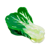 Jenny Lemons - Large Bok Choy Hair Claw Clip