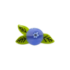 Jenny Lemons - Mini Blueberry Hair Claw Clip