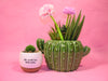 Streamline - Cactus Flower Pot