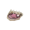 Jenny Lemons - Mini Oyster Hair Claw Clip