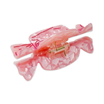 Jenny Lemons - Midi Chocolate Truffle Hair Claw Clip