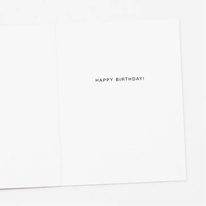 Apartment 2 Cards - Lost Count Birthday Card