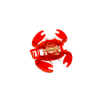 Jenny Lemons - Mini Crab Hair Claw Clip