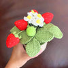 PinkLadyWorkshop - Crochet Small Strawberry Pot | Handmade Finished : Small