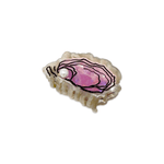 Jenny Lemons - Mini Oyster Hair Claw Clip