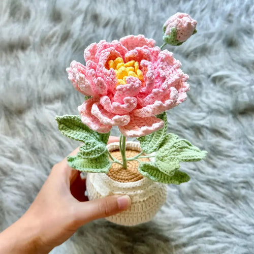 PinkLadyWorkshop - Crochet Peony Flower Pot | Pink | White