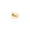 Jenny Lemons - Micro Fruit and Flowers Hair Claw Clip Set