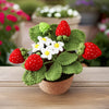 PinkLadyWorkshop - Crochet Small Strawberry Pot | Handmade Finished : Small