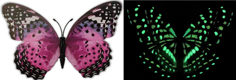 Flutter Gallery - Butterfly Magnet GLOW Bundle of 100!