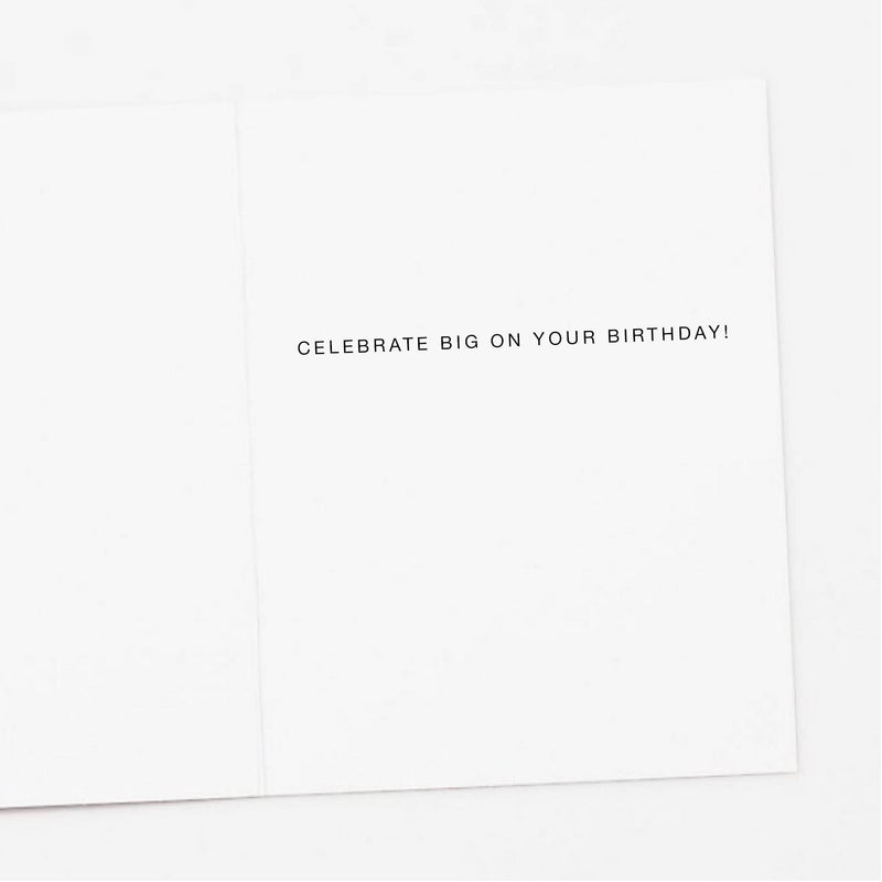 Apartment 2 Cards - Disco Raccoon Birthday Card