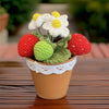 PinkLadyWorkshop - Crochet Small Strawberry Pot | Handmade Finished : Small