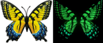 Flutter Gallery - Butterfly Magnet GLOW Bundle of 100!