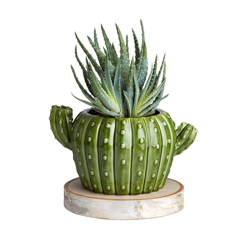 Streamline - Cactus Flower Pot