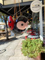 Ladybug 🐞 Hanging Planters