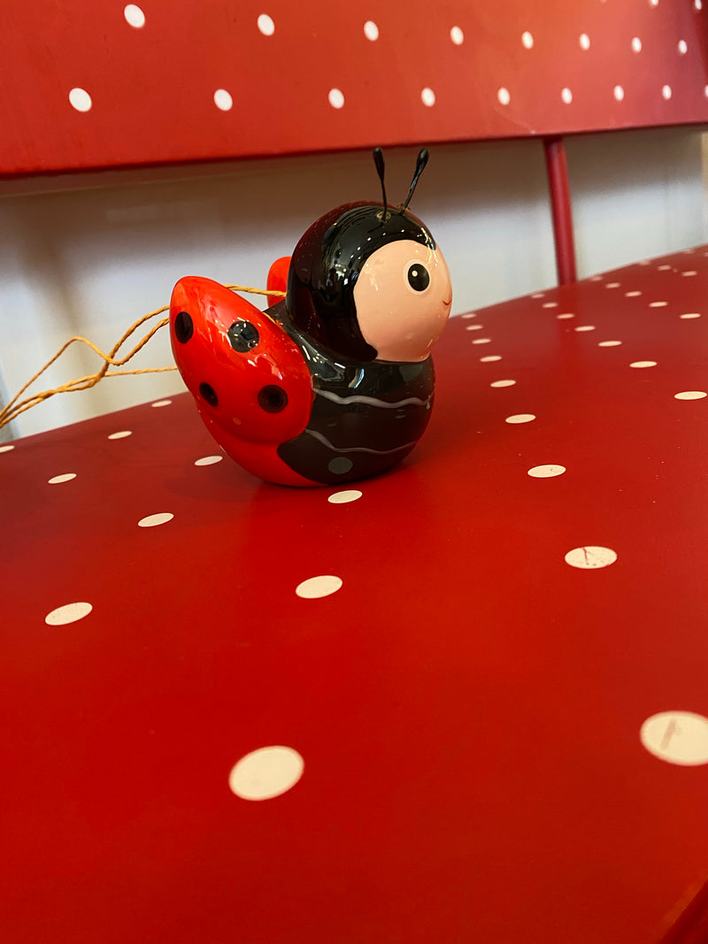 Ladybug 🐞 Hanging Planters